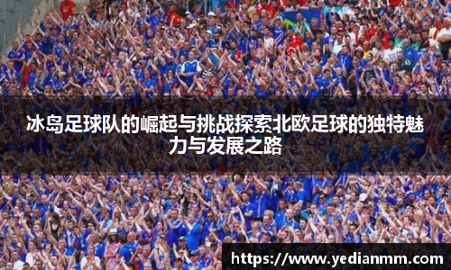 冰岛足球队的崛起与挑战探索北欧足球的独特魅力与发展之路