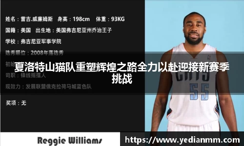 夏洛特山猫队重塑辉煌之路全力以赴迎接新赛季挑战